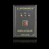 ElectraStim The Controller Additional Receiver